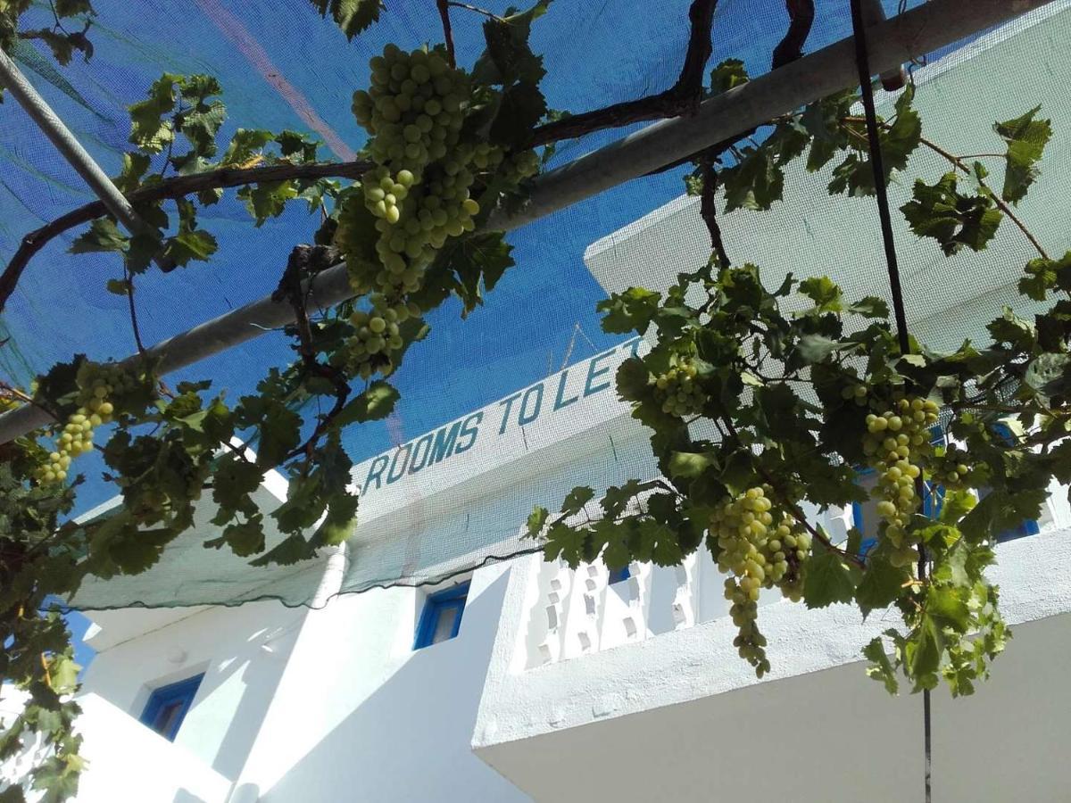 Nikos Apartments Lefkos  外观 照片