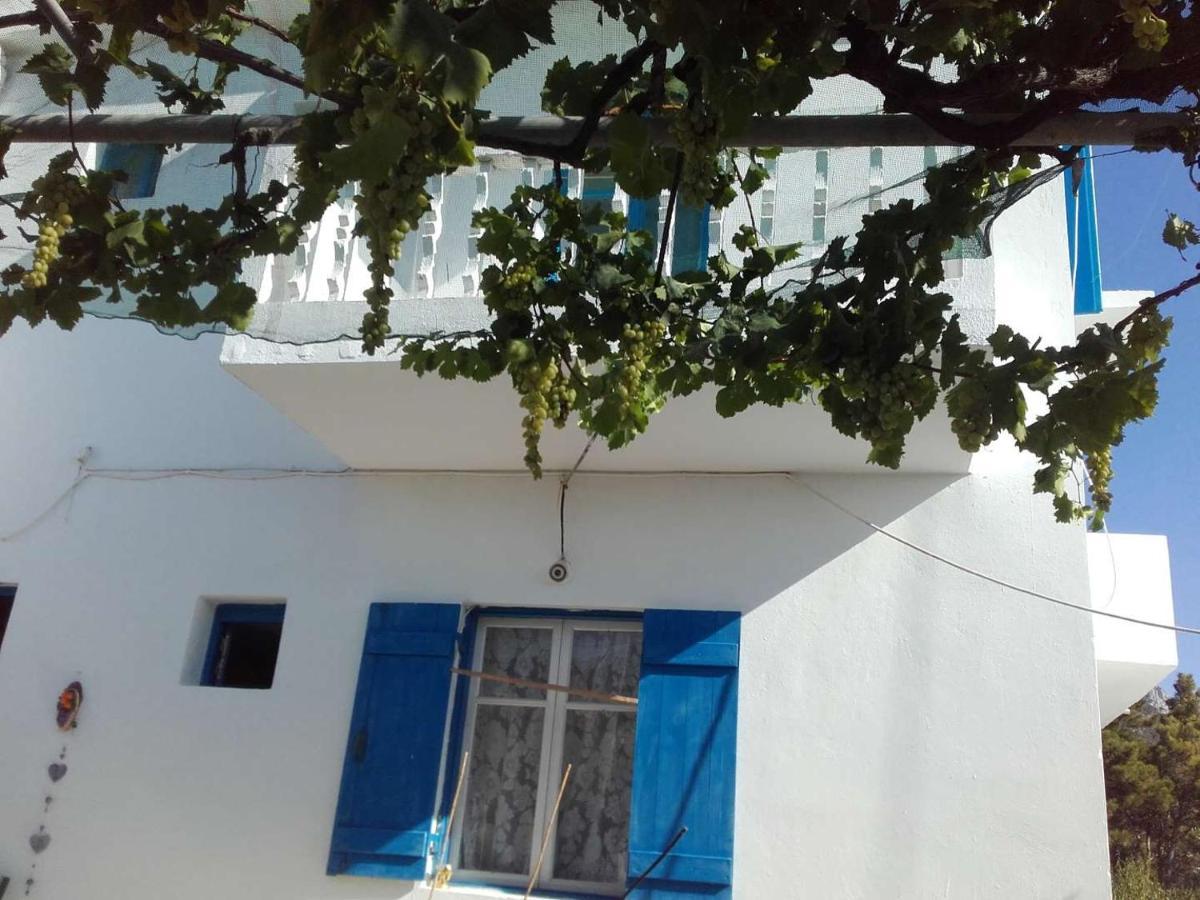 Nikos Apartments Lefkos  外观 照片